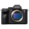 Прошивка камеры Sony a7S III версии 2.00 добавляет профиль S-Cinetone и другие улучшения